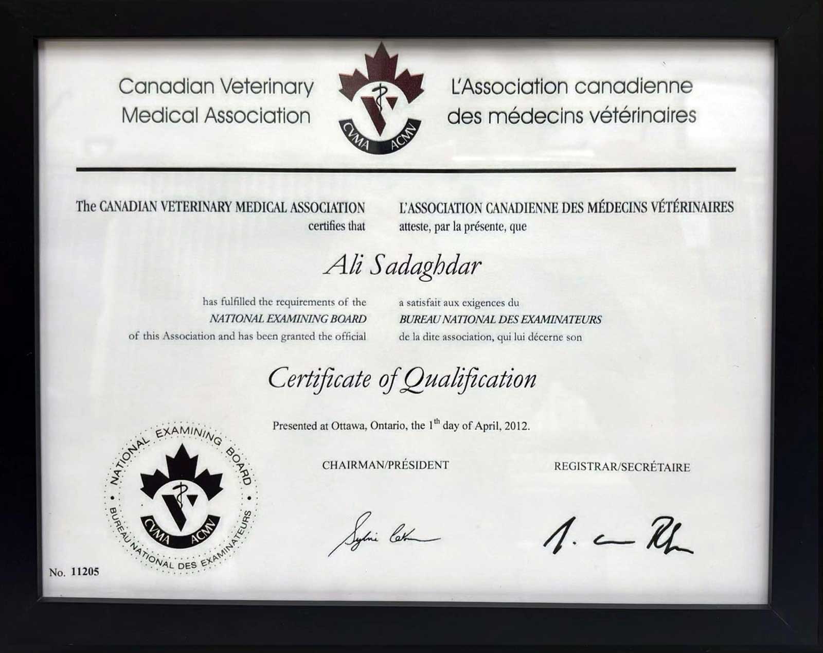 NorthCare_Dr-Ali-Sadaghdar-4