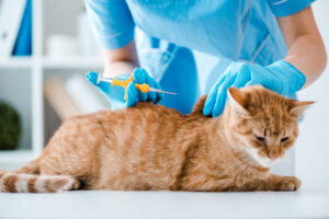 Pet vaccinations near me