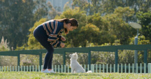 dog training techniques Vancouver