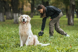 early dog training Vancouver