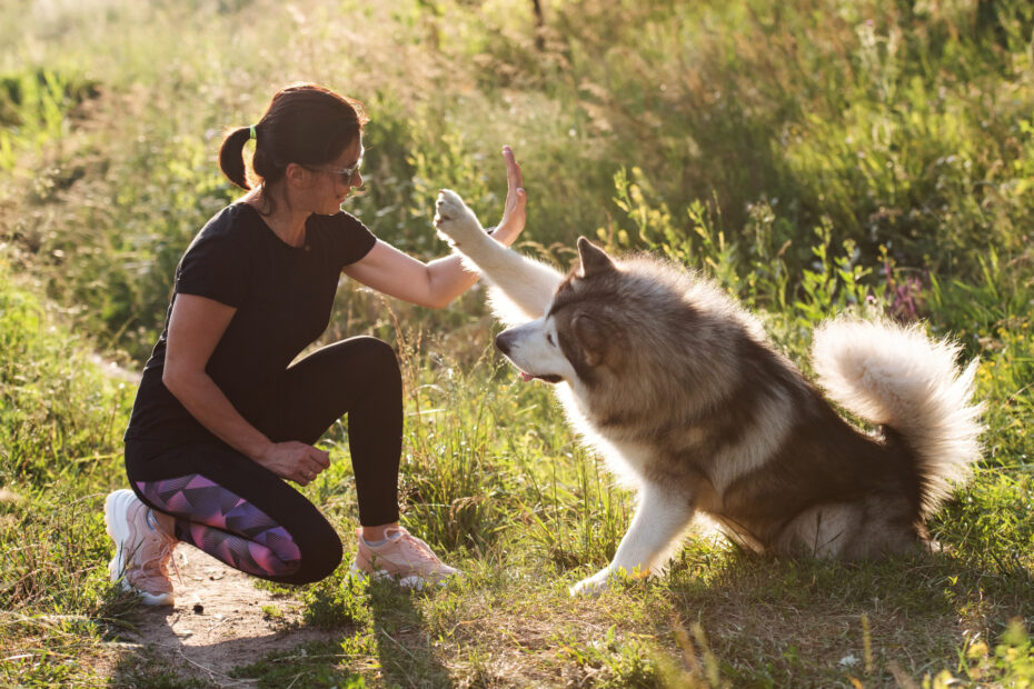 pet behaviour consultation North Vancouver