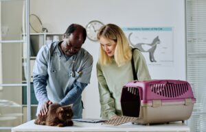 Vet Emergency Near Me