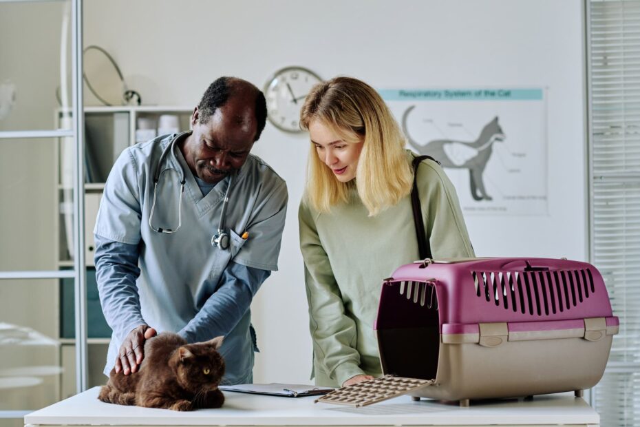 Vet Emergency Near Me