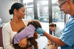 Is It a Pet Emergency?