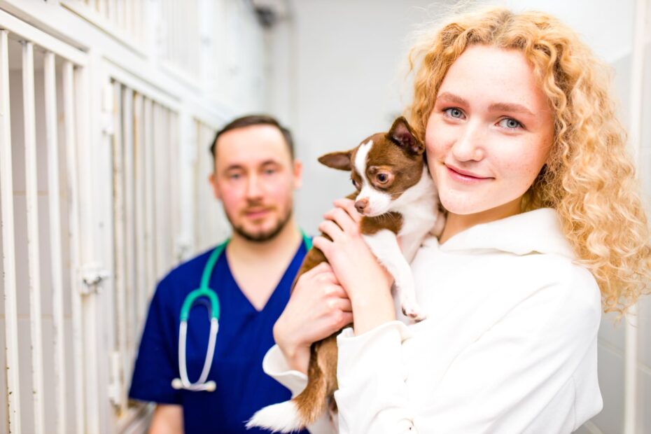 Pet Hospital Near Me