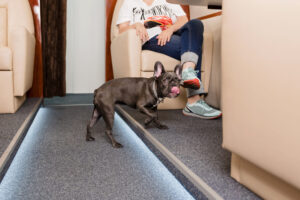 microchip registration Canada