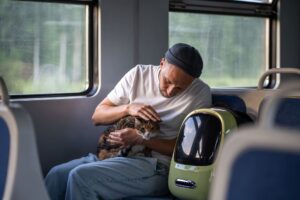 dog microchip implantation procedure 2