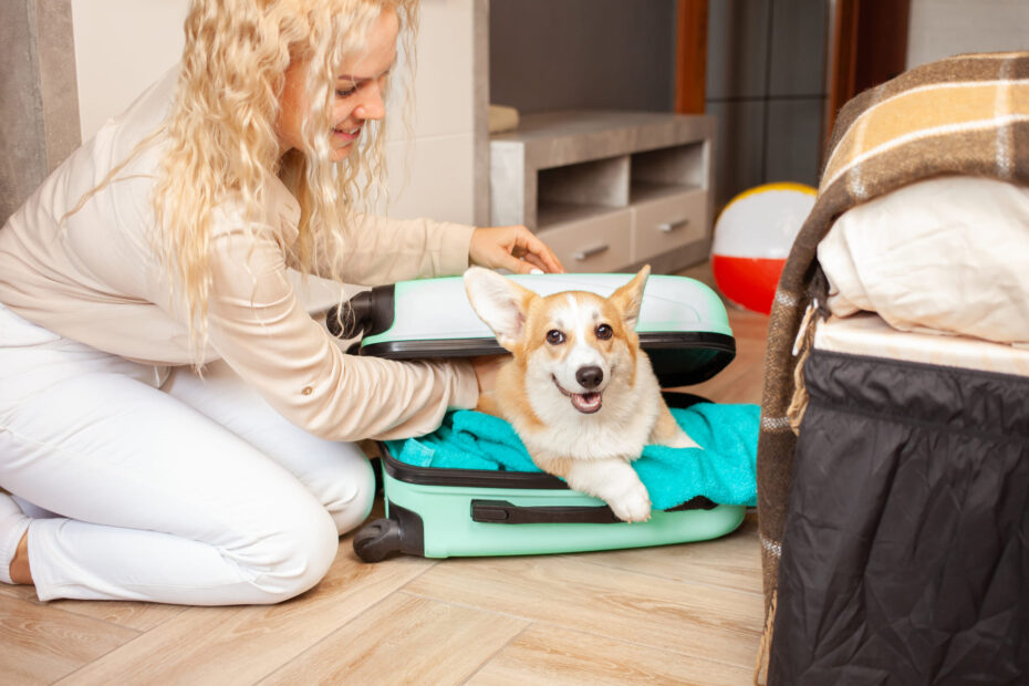 pet microchipping cost North Vancouver