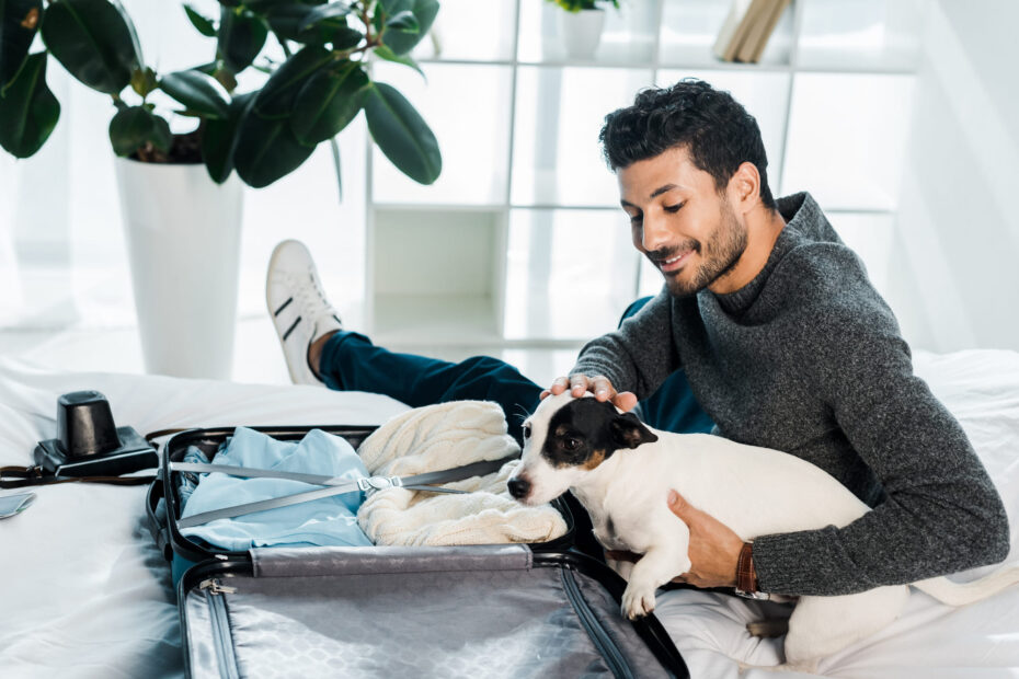 is microchipping mandatory Canada